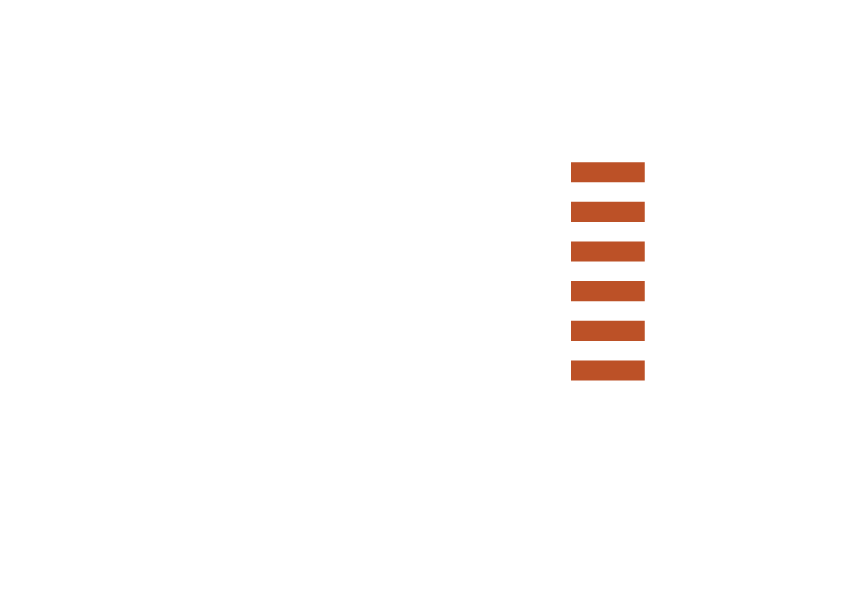 Stone Age Australia Logo white